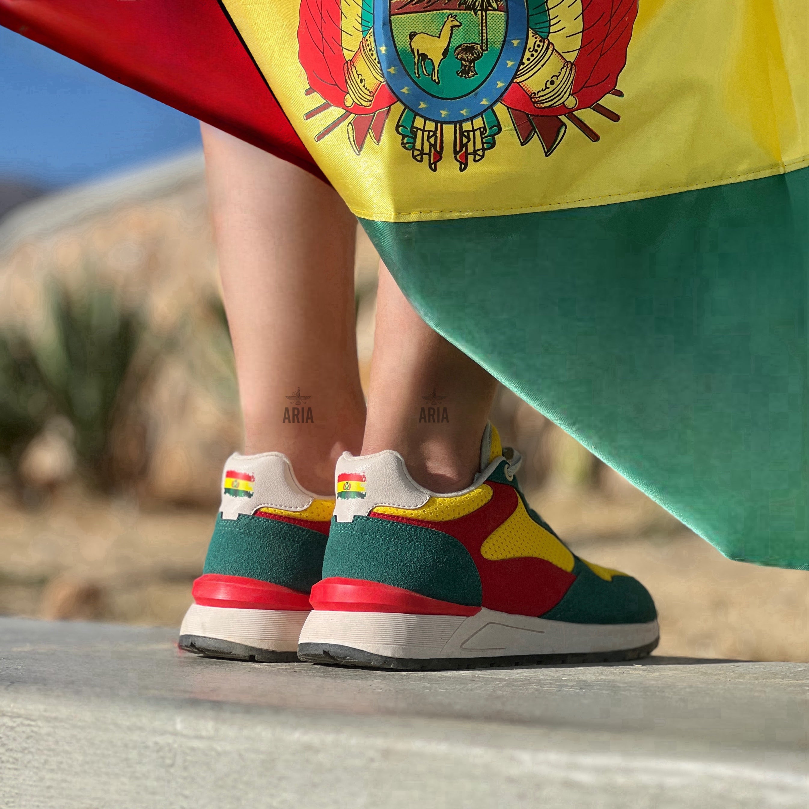 Sneaker Bolivia - PREVENTA 40-43